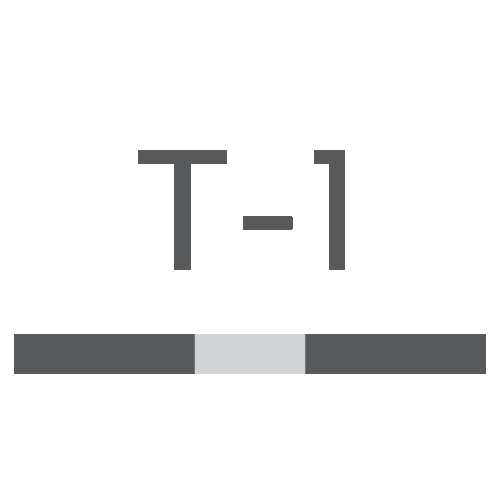 Type 1 (flat)